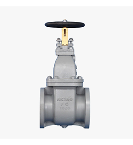 JIS-F7363C/ Cast Steel