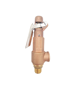  Spring Safety Valve With Handle BSPT Bronze
