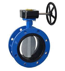  Butterfly Valve Double Flange