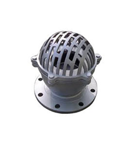  Foot Valve Cast Iron/Stainless Steel 10K