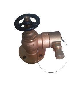  Hydrant Valve John Morris/ Bronze Valves